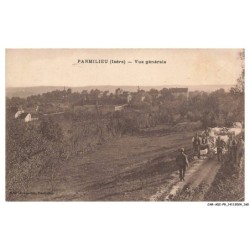 CAR-ADIP9-0635-38 - PARMILIEU - vue générale