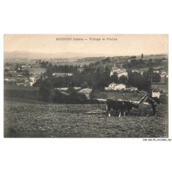 CAR-ADIP9-0631-38 - MOIDIEU - village et plaine - vache