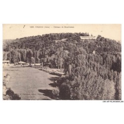 CAR-ACPP5-0310-38 - CHANAS - Chateau de montbreton