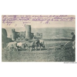CAR-ADIP7-0407-38 - VIENNE - ancien fort de la batie XIIIe siecle - vache