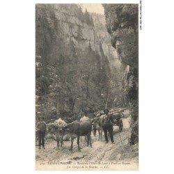 CAR-ADIP5-0304-38 - route de VILLARD-DE-LANS a PONT-EN-ROYANS - les gorges de la bourne - vache