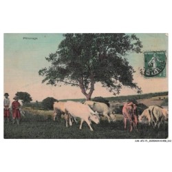 CAR-AFCP1-0007-AGRICULTURE - Paturage