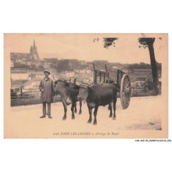 CAR-AFZP5-0250-40 - DANS LES LANDES - Attelage de boeufs