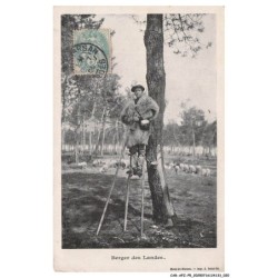 CAR-AFZP5-0245-40 - Berger des LANDES