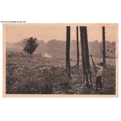 CAR-AFZP5-0262-40 - La douce france - LES LANDES DE GASCOGNE - Le résinier au travail