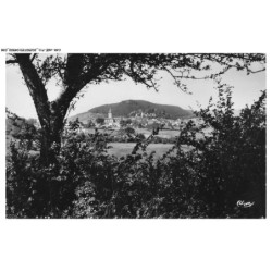 CAR-AGEP11-0680-39 - ORGELET - Vue generale d'orgelet avec le mont-orgler