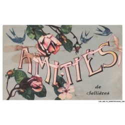 CAR-AGEP2-0083-39  - SELLIERES - Amitiés de Sellières