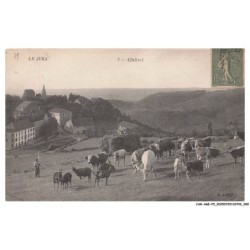 CAR-AGEP5-0307-39 - CHATEL - Le Jura - Troupeau de boeufs et vue panoramique