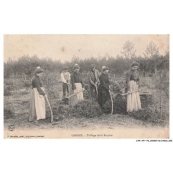 CAR-AFYP6-0328-40 - Taillage de la bruyère - Agriculture