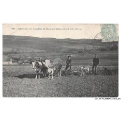 CAR-AFUP1-0006-39 - Laboureurs sur le plateau de CLUCY-SUR-SALINS - Altitude 605 m