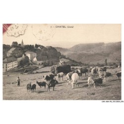 CAR-ADNP8-0521-38 - CHATEL - Le troupeau