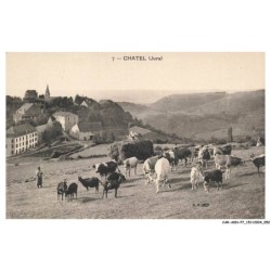 CAR-ADNP7-0437-38 - CHATEL - Troupeau