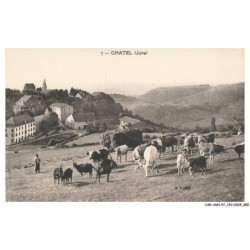 CAR-ADNP7-0436-38 - CHATEL - Troupeau