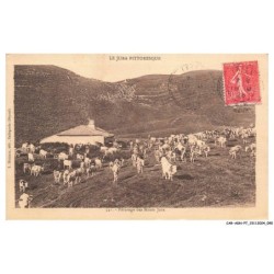 CAR-ADNP7-0456-38 - Paturage des monts jura