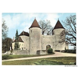 CAR-ACUP12-0724-39 - SAINT-JULIEN-SUR-SURAN - Chateau d'andelot