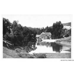 CAR-ACXP15-0869-39 - MOULIN-DU-SAUT - Près nozeroy