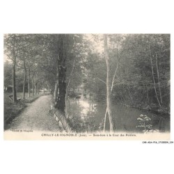 CAR-ADAP16-0977-39 - CHILLY-LE-VIGNOBLE - Sous-bois a la cour des poiriers