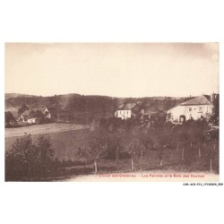 CAR-ACXP13-0724-39 - CHAUX-DES-COTENAY - Les fermes et le bois des roches