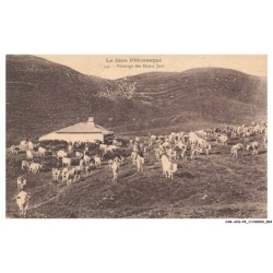 CAR-ACSP4-0214-39 - Paturage des monts jura
