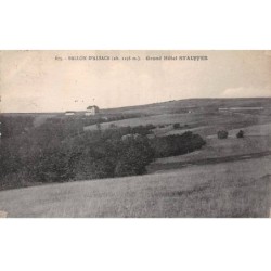 90 - BALLON D ALSACE - SAN46999 - grand Hôtel Stauffer
