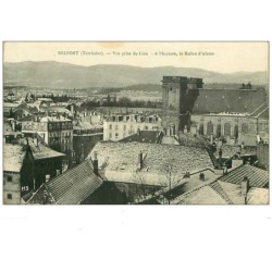 90.BELFORT.n°3969.VUE PRISE DU LION.A L'HORIZON,LE BALLON D'ALSACE