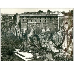 89. n°42014 . belfort.le lion . cpsm 10 x 15 cm.
