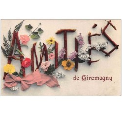 90 . n° 47104 . giromagny . amities