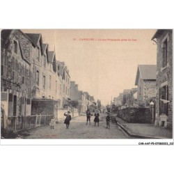 CAR-AAFP5-50-0427 - CAROLLES - la rue principale prise du bas