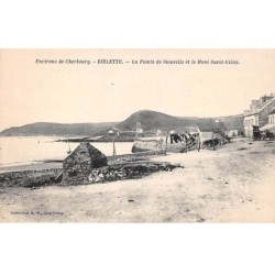 50-AM22160.Dielette.La Pointe de Siouville.Mont Saint Gilles