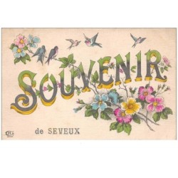 70 . n° 49918 . seveux . souvenir