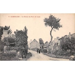 50-AM22064.Carolles.N°9.La route du Port de Lude