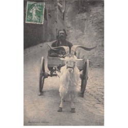 50 - MANCHE - SAN57041 - Voiture à chèvre