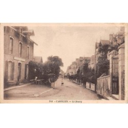 50-AM22063.Carolles.N°310.Le Bourg