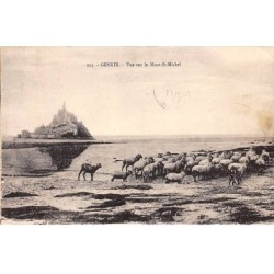 50 - GENETS - SAN43619 - Vue sur le Mont St Michel