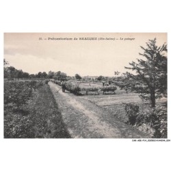 CAR-AEKP14-0830-70 - BEAUJEU - Préventorium - Le potager