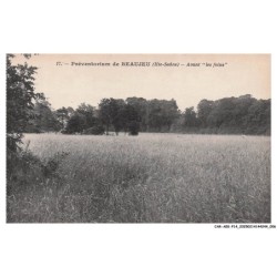 CAR-AEKP14-0821-70 - BEAUJEU - Préventorium - Avant les foins