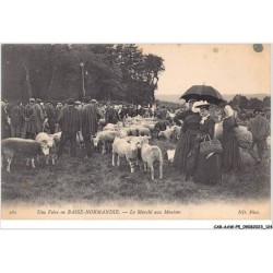 CAR-AAWP5-50-0393 - une foire en BASSE-NORMANDIE - le marché aux moutons