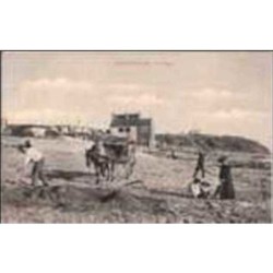 50.HACQUEVILLE.LA PLAGE.ATTELAGE..