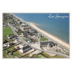 50.AM10246.Les Gougins.Vue générale.Edit Dubray 1076/50.CPSM 15x10 cm