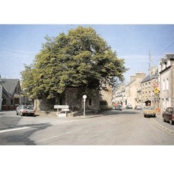 50.AM10271.Portbail.La place centrale.Edit Dubray.414/50.CPSM 15x10 cm