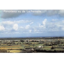 50.AM10328.La Pernelle.Vue générale.Edit Dubray.352/50.CPSM 15x10 cm