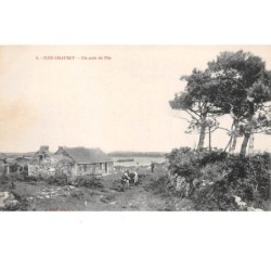 50 . n°205538. iles chausey. un coin de l'ile