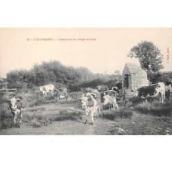 50 . n°205559. iles chausey. l'abreuvoir du village du pont