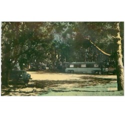 50 .n°39701 . jullouville.le sous bois.autobus.cpsm 14 x 9 cm .