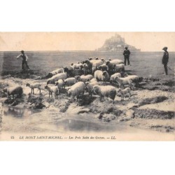 50 - LE MONT SAINT MICHEL - SAN35669 - Les Prés Salés des Grèves