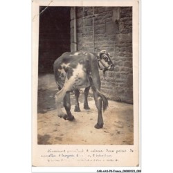 CAR-AASP8-0583 - FRANCE - CARTE PHOTO - AVRANCHES - BOEUF A5 pattes