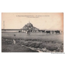 CAR-AEDP9-0552-50 - MONT-SAINT-MICHEL - Vue générale et les prés salés