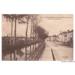 CAR-ADKP11-0855-70 - SAINT-LOUP-SUR-SEMOUSE - Avenue de Conflans