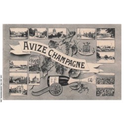 CAR-AGCP20-1058-51 - AVIZE CHAMPAGNE - Divers aspects