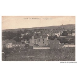 CAR-AGCP20-1081-51 - RILLY-LA-MONTAGNE - Vue générale